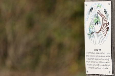 Pot za spomin v Arboretumu Volčji Potok povezuje generacije in krepi demenci prijazno okolje (20)